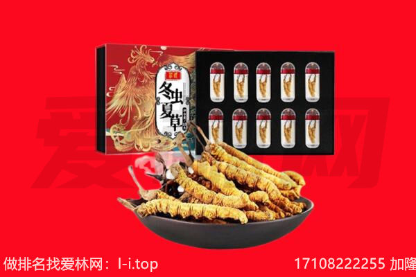 吕梁市交口回收虫草.jpg